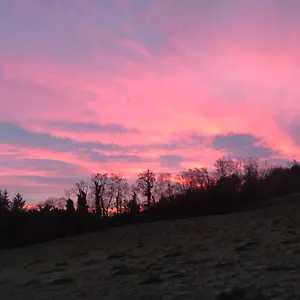 Privatunterkunft Forest View - Castlewellan